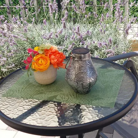Apartman Ruza Zadar