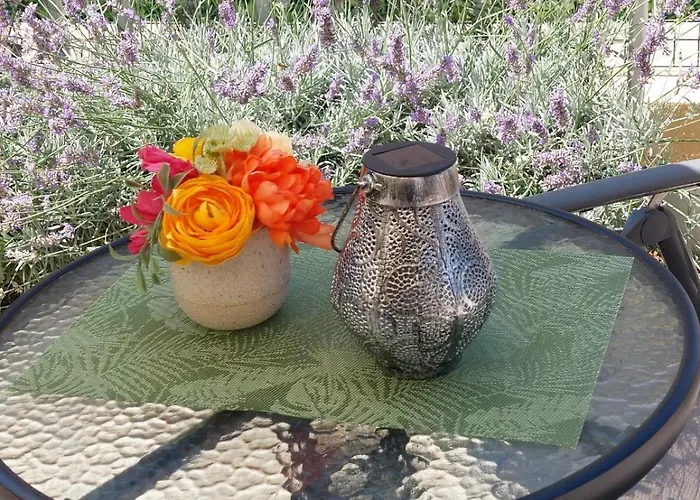 شقة Ruza زادار