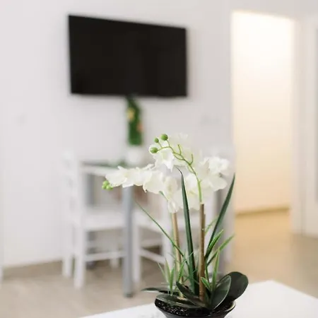 Ruza Apartment *