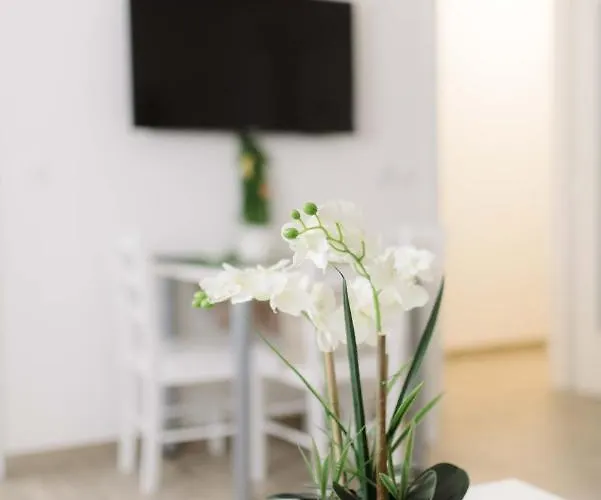 Ruza Apartament *
