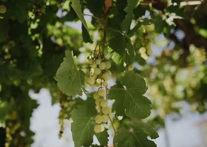 Апартаменты Ruza